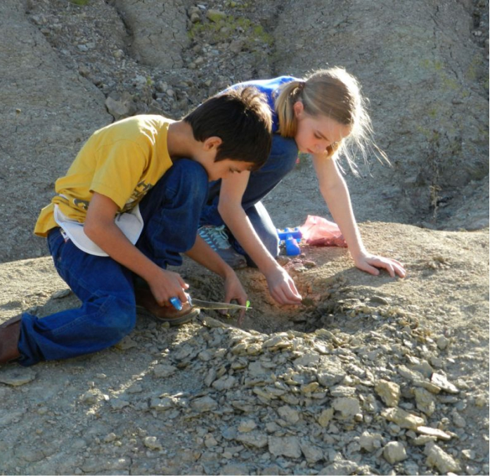 Crazy Fossil Dig