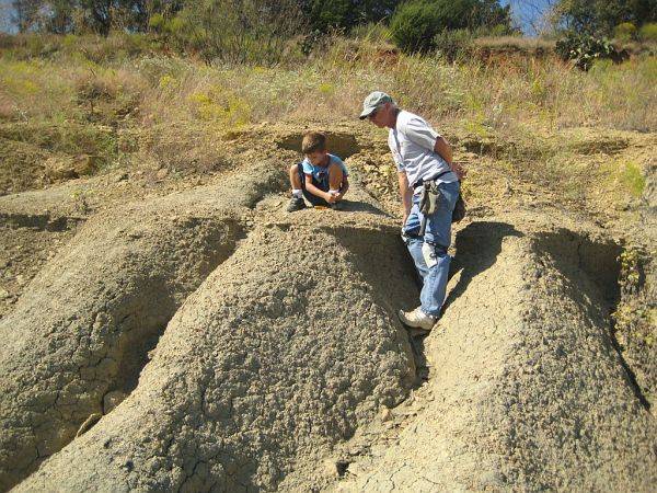 025_600_fossil_park_visitors_w