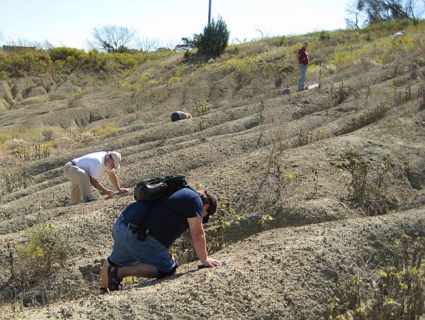 026_600_fossil_park_visitors_w