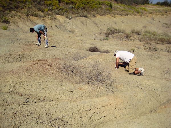 027_600_fossil_park_visitors_w