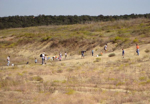 031_600_fossil_park_visitors_w