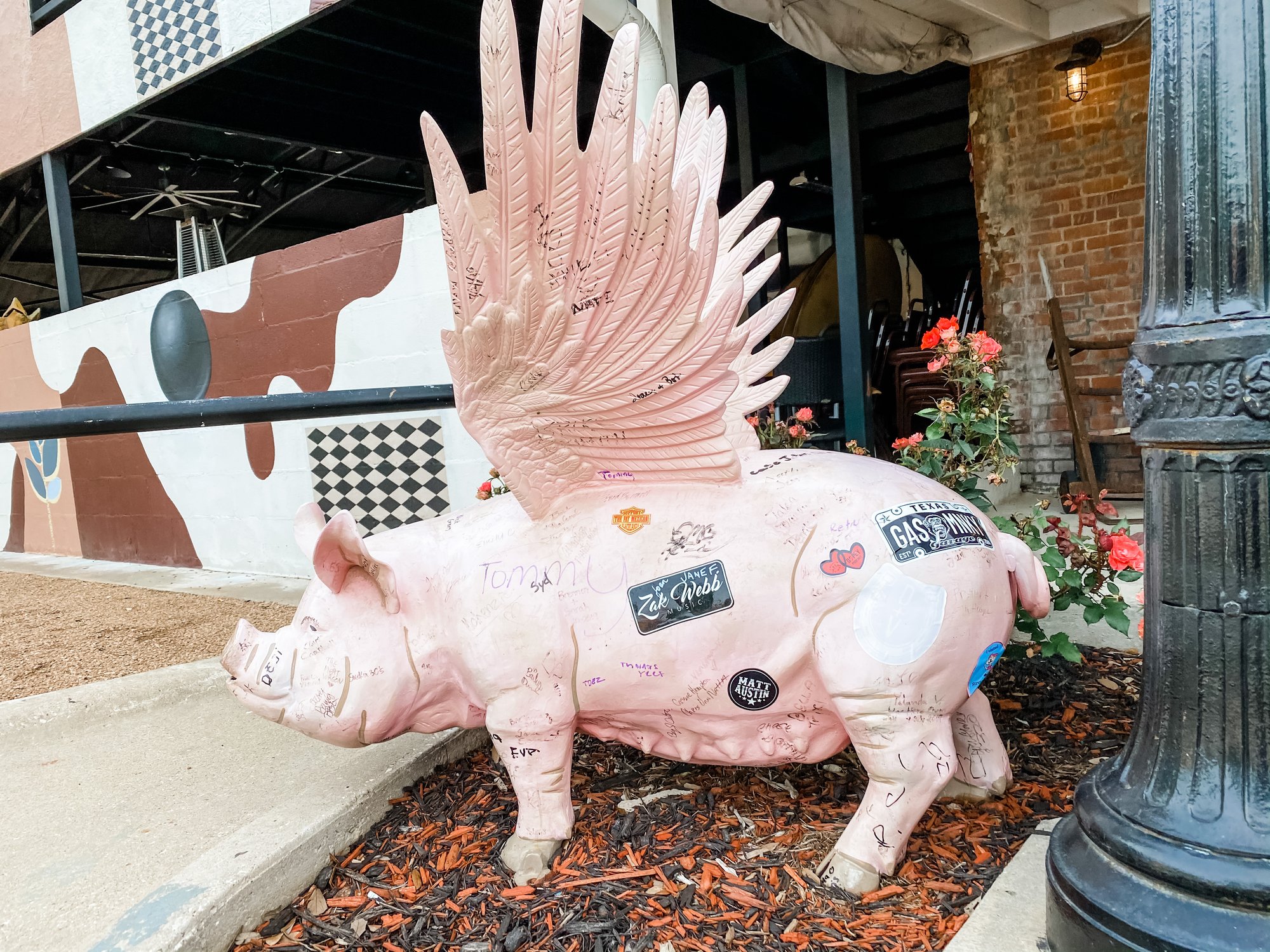 Crazy Things to See in Mineral Wells