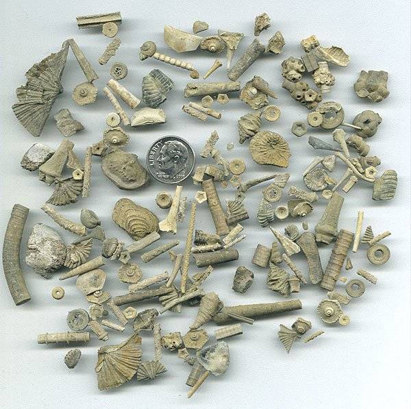 finds-600