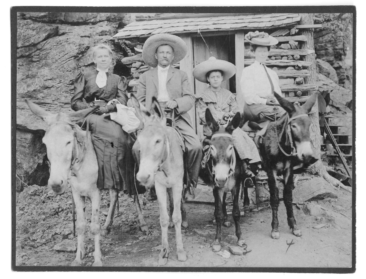 Mineral Wells Donkey Rids
