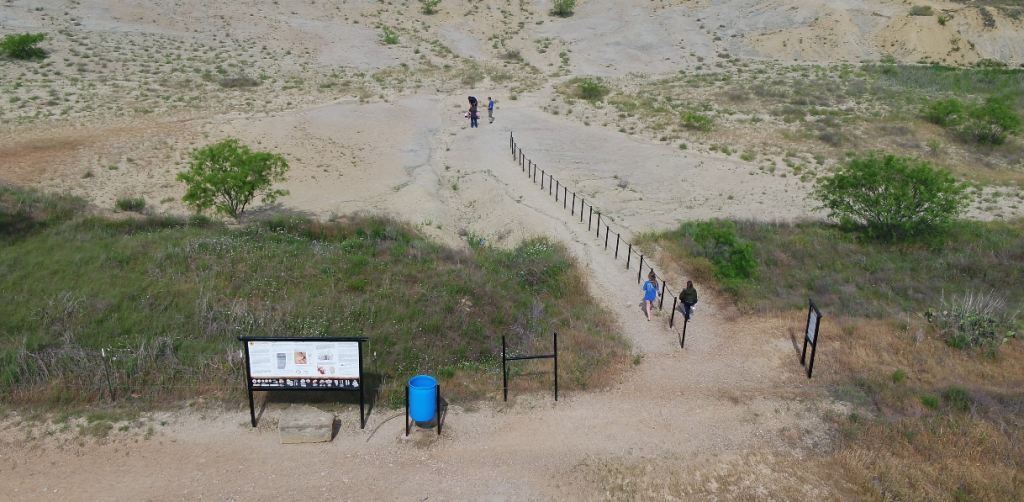 Mineral Wells Fossil Park - Visit Mineral Wells