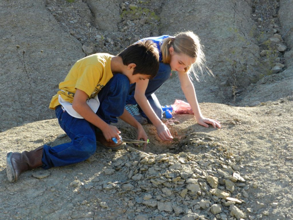 Kids digging for fossils