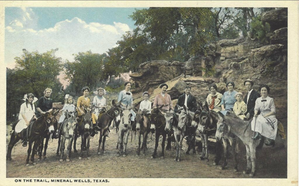 On the Trail, Donkey Rides Postcard