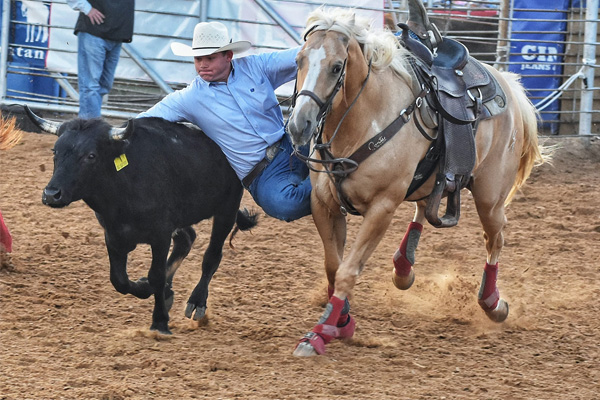 Cowboy wrangling calf at PPCLA -PRCA -Rodeo - Photo Credit: PPCLA