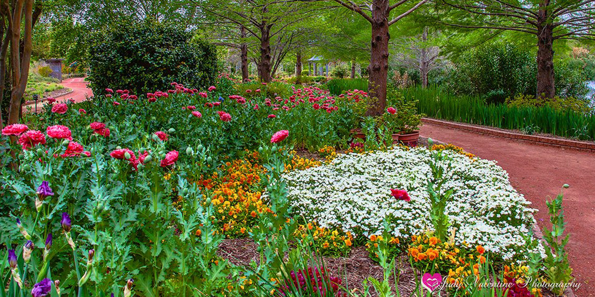 Flowerbeds at Clark Gardens