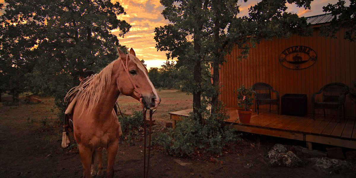 Horse next to barn at Valley View Guest Ranch